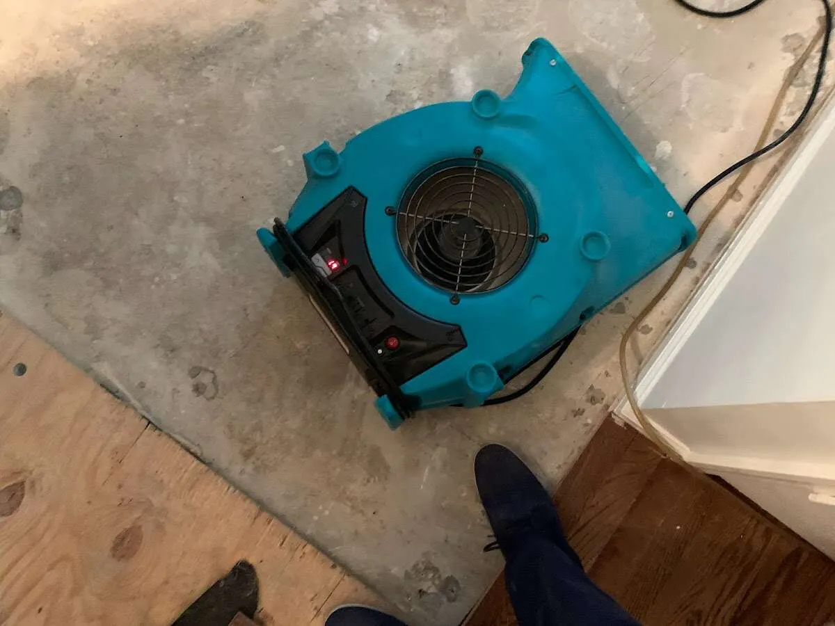 Air mover drying subfloor during Commercial Water Damage Restoration in O'Fallon